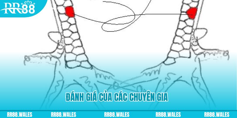 77win9 V8 Game Bài 3d