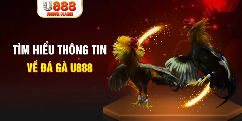 77win9 đăng nhập tiến lên miền nam hàng đầu