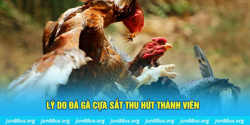 77win9 chiếm slot là gì