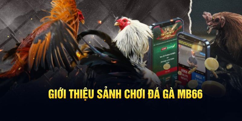 77win9 đăng nhập poker hôm nay
